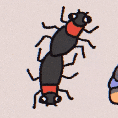 Lovebug GIF