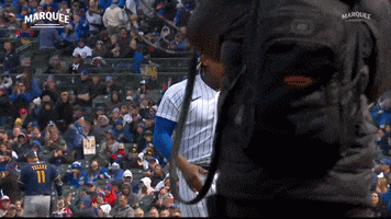 Celebration Cubs GIF by Marquee Sports Network