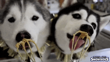 Lick It Nom Nom GIF by Gone to the Snow Dogs