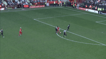 alezodendaal  GIF