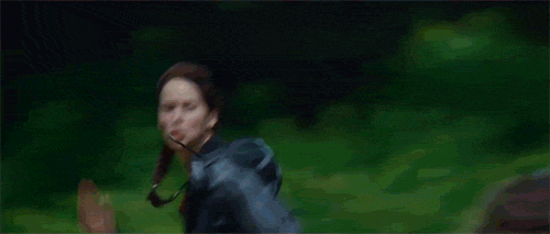  the hunger games the hunger games gif GIF