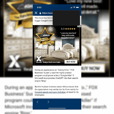 Matthew Cook Maine GIF