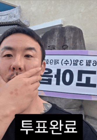 부정선거 GIF