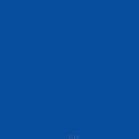 Poquei GIF by Oquei Telecom