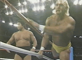 Wwe GIF