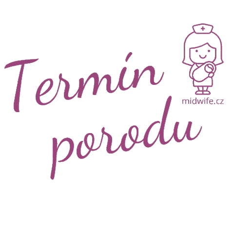 midwifecz Sticker