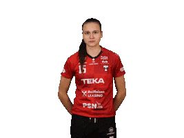 Floorball Salibandy Sticker by Tatran Stresovice