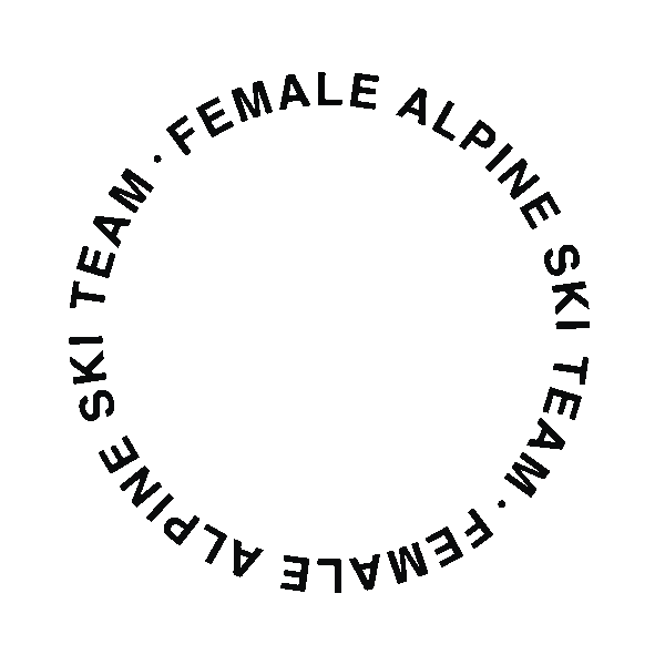 Fast Sticker by lamolinace