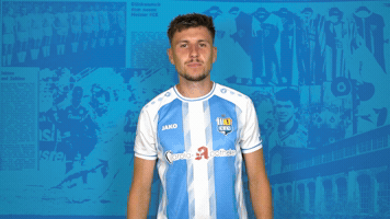 Celebration Cfc GIF by ChemnitzerFC