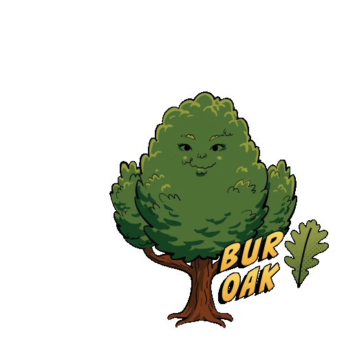 League of Trees Sticker