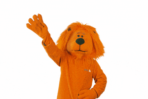 Ing Knuffel GIF by ING Nederland