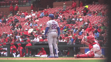 Admire New York Mets GIF by MLB