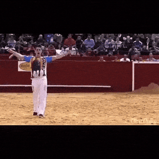 Giphy - ole GIF