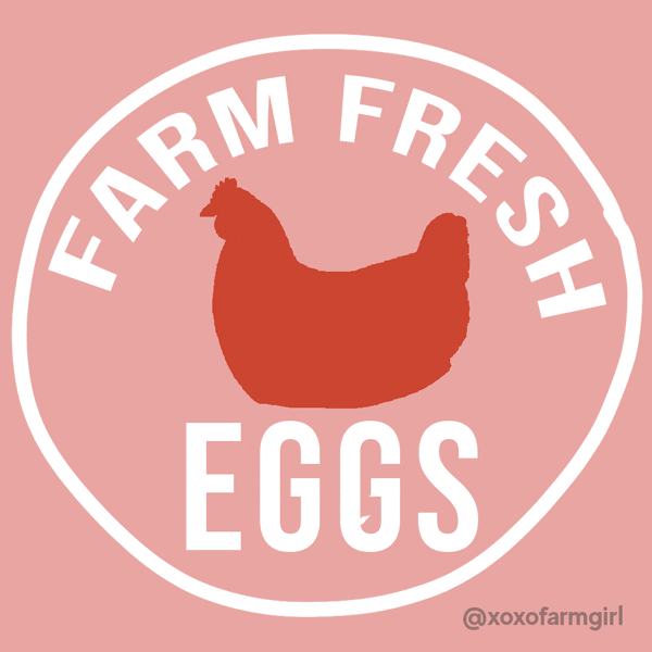 Egg Farmers GIF by xoxofarmgirl