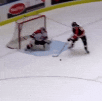 Whl GIF