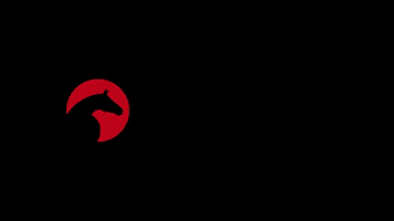 ClipMyHorseTV GIF