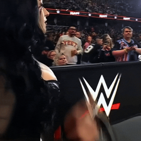 Pro Wrestling Wwe GIF