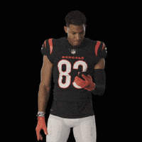 200.gif?cid=fc005b085421c1c755bb9490cefe4a1d74d7be05b297db57&rid=200.gif&ct=g