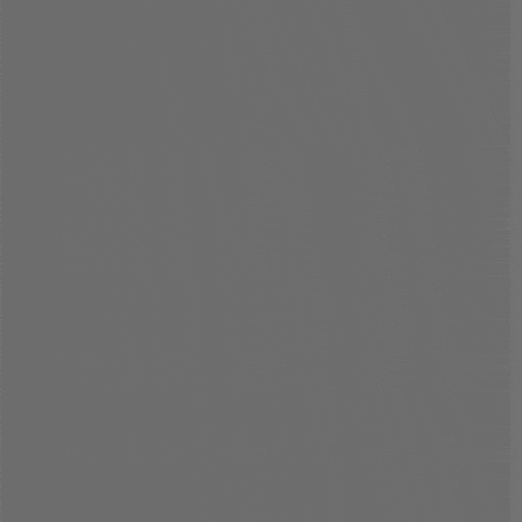 GIF by Polina Zinziver