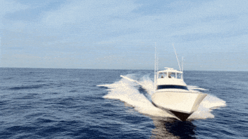 Boat Viking GIF by GEMLUX