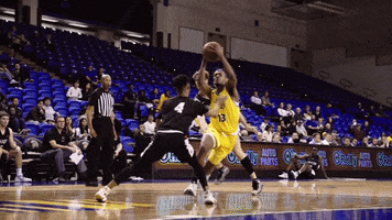 GIF by San Jose State Spartans