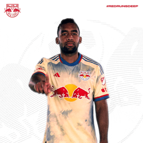 Red Bulls No GIF by New York Red Bulls