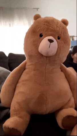 Teddy Tim GIF