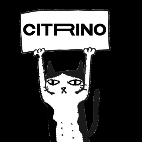 citrinostudio GIF