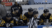 Pittsburgh Penguins Iceburgh GIF - Pittsburgh Penguins Iceburgh Penguins -  Discover & Share GIFs