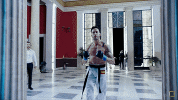 mma entrance GIF by Karate Combat