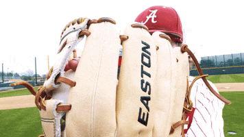 Baseball Alabamabaseball GIF by Alabama Crimson Tide
