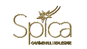 Spica Sticker by spicagayrimenkultr