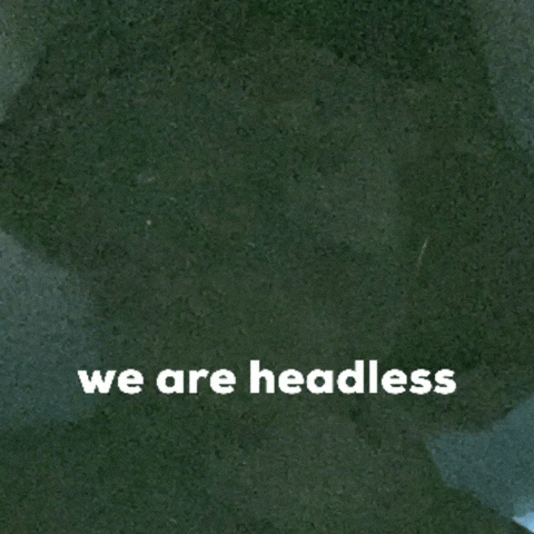 Rbkf GIF