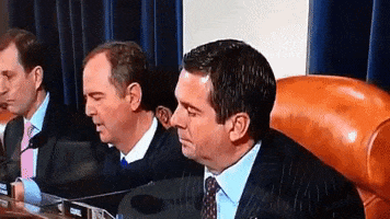 Impeachment Impeachmentinquiryday4 Nunes Screwed Impeachmentinquiry Ohshit GIF