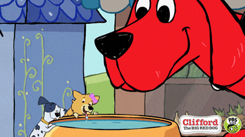 Drinking Water Summer GIF by PBS KIDS