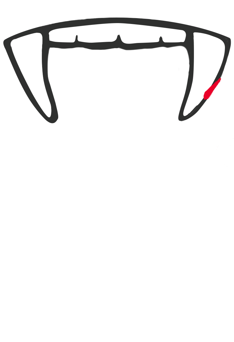 Bram Stoker Halloween Sticker by Discover Ireland