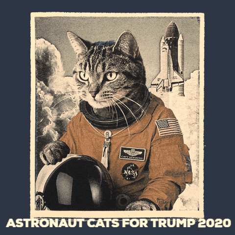 cat trump trump 2020 poltics GIF