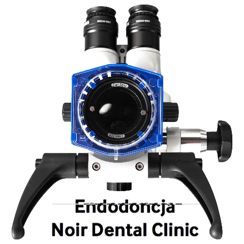 NoirDentalClinic dentistry noir dental clinic endodoncja GIF
