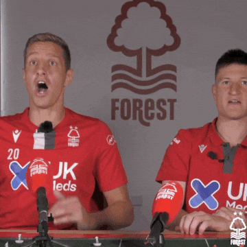 Michael Dawson Reaction GIF by Nottingham Forest