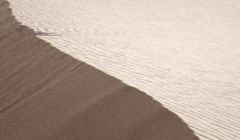 Roots + Ardor GIF