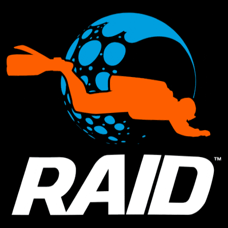 DiveRAID GIF