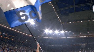 Waving Game Day GIF by FC Schalke 04