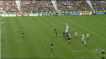 South Africa Rugby Sport GIF by Rugby World Cup