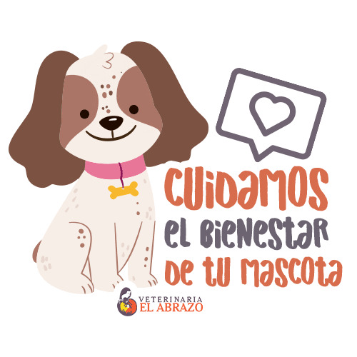 Veterinaria El Abrazo Sticker