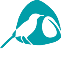 Sonhos Sticker by Lojas Constrular