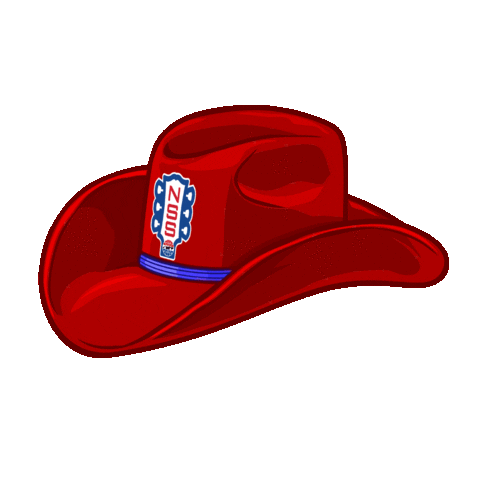 Nashville Superspeedway Sticker