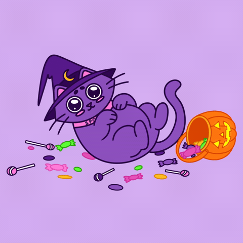 Sleepy Trick Or Treat GIF by Spooks the Cat