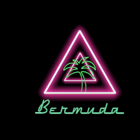 BermudaPEC 90s 80s neon throwback GIF
