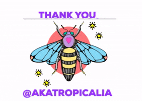 akatropicalia GIF