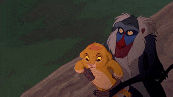 the lion king GIF by Walt Disney Records